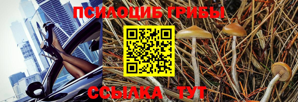 Псилоцибиновые грибы мицелий  Вход с VPN  Мелеуз  Галлюциногенные грибы Cubensis 